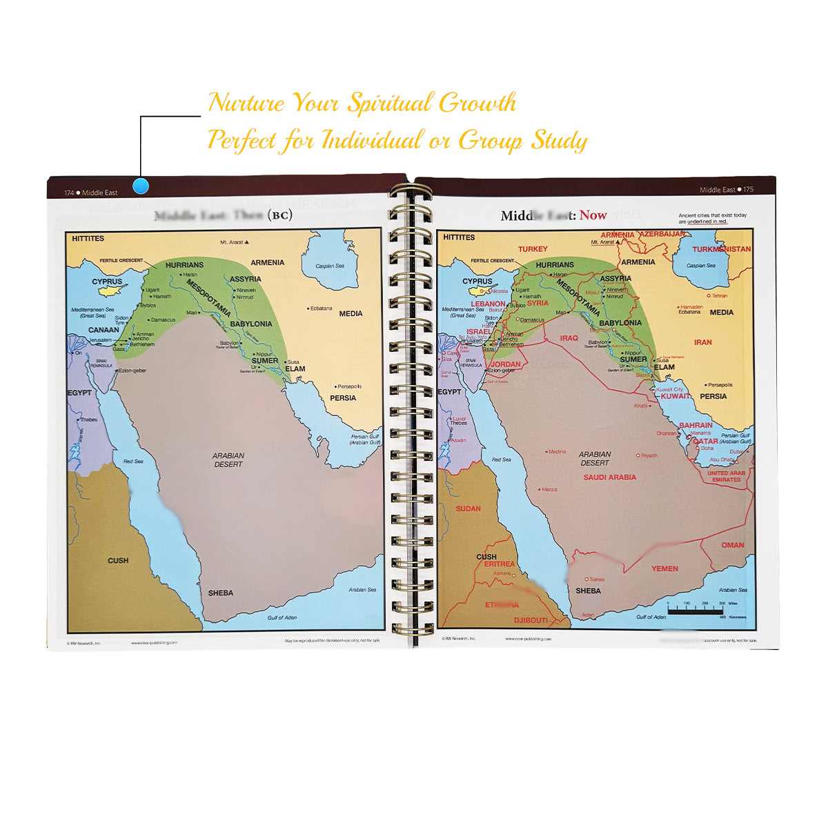 Rose Book of Bible Charts, Maps & Timelines — 230 Pages