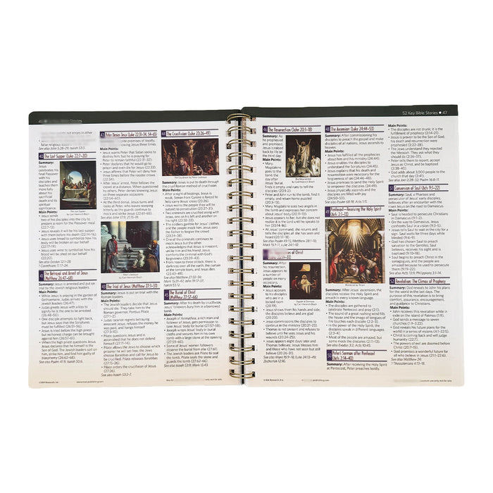 Rose Book of Bible Charts, Maps & Timelines — 230 Pages