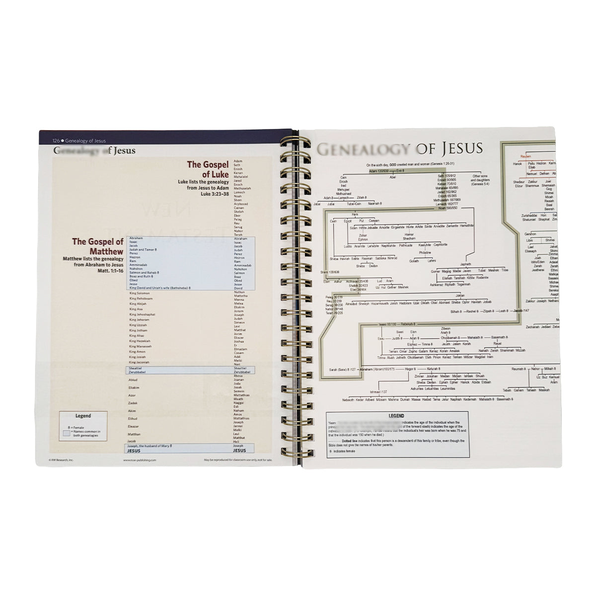 Rose Book of Bible Charts, Maps & Timelines — 230 Pages