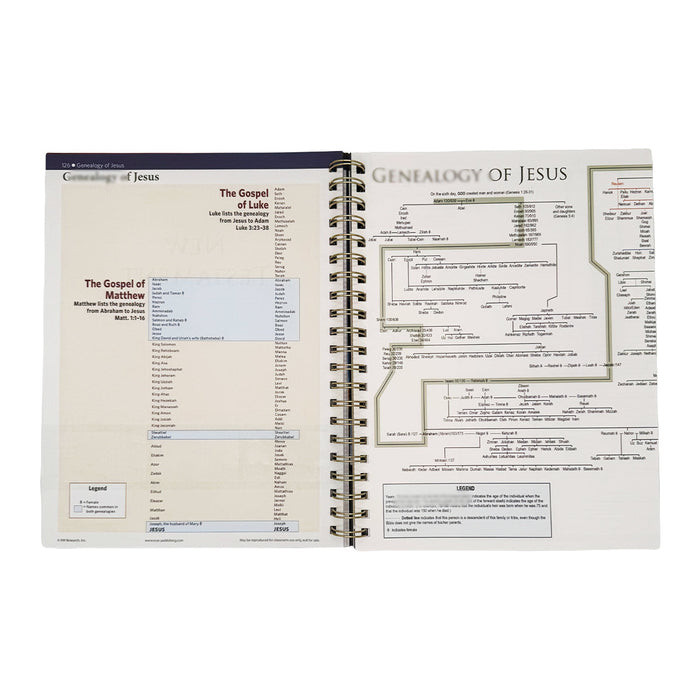 Rose Book of Bible Charts, Maps & Timelines — 230 Pages