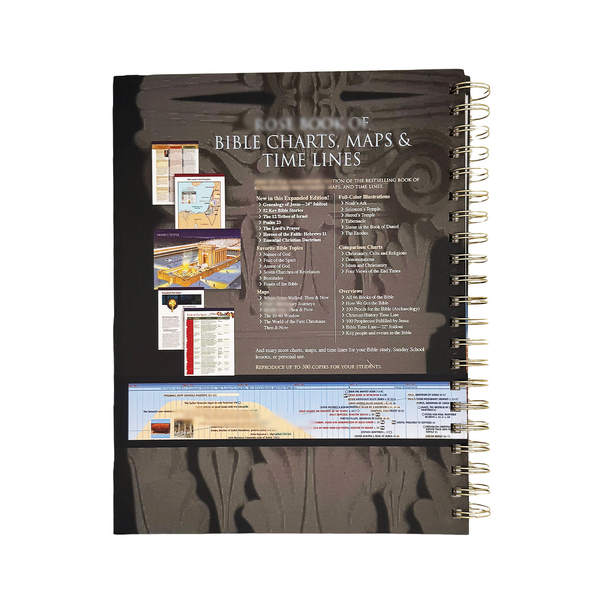 Rose Book of Bible Charts, Maps & Timelines — 230 Pages